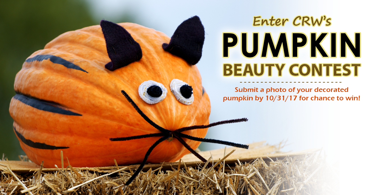 CRW Pumpkin Contest